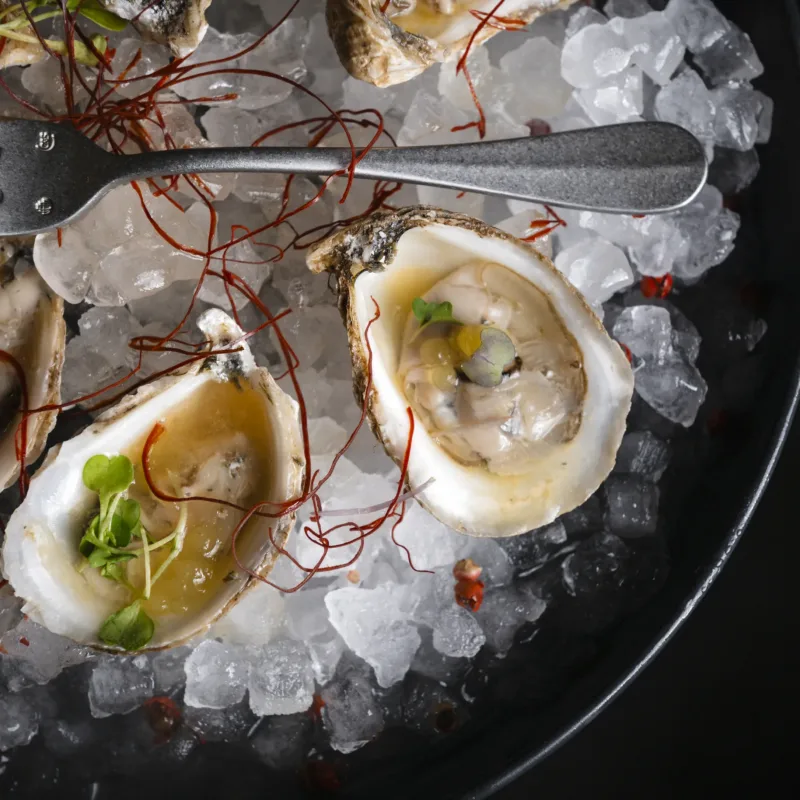 Origen FOOD 0726_103